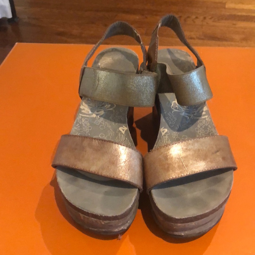 Otbt wedges